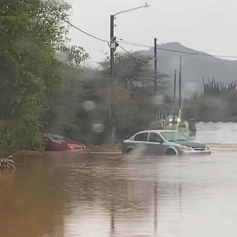 auto's staan half in water